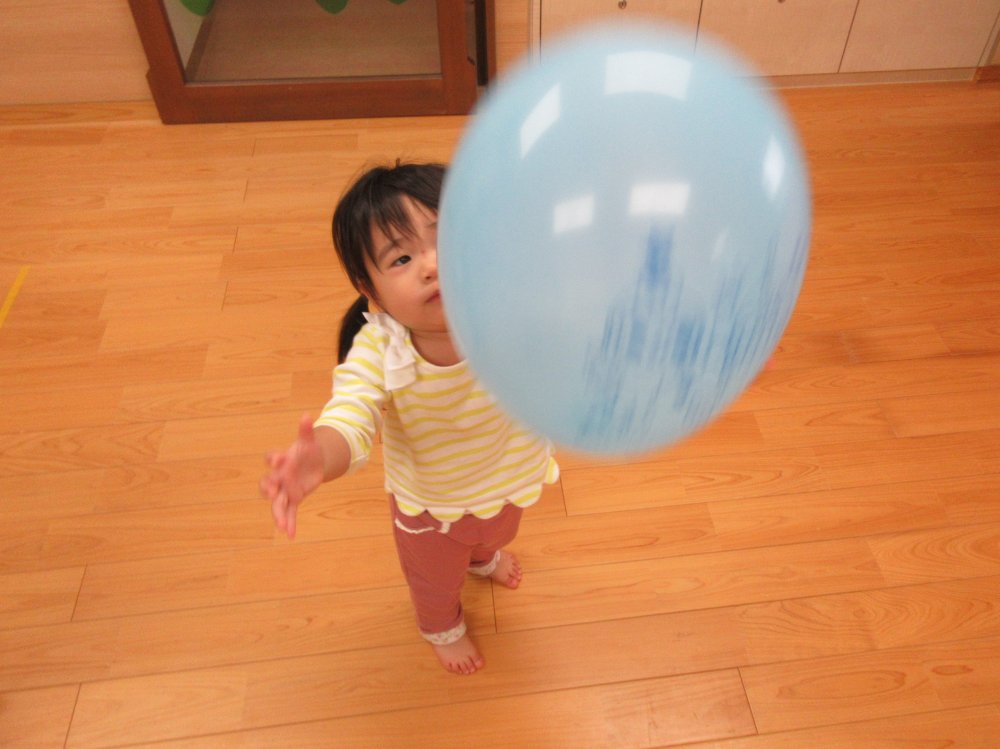 20250128153330.JPG