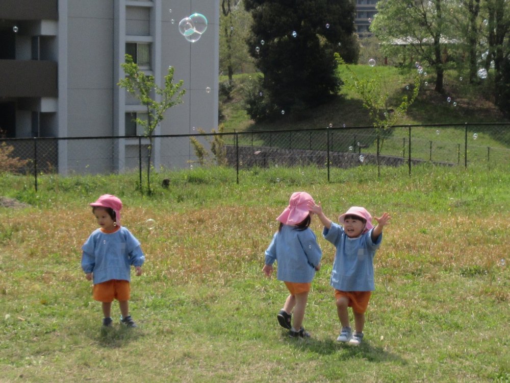 20250416153429.JPG