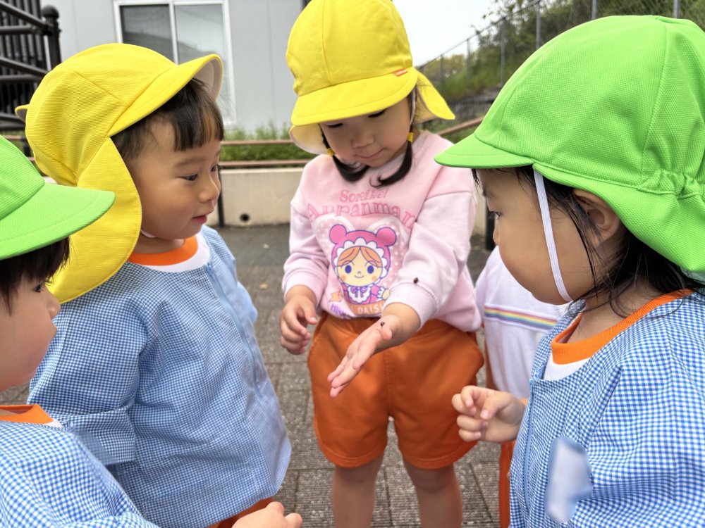 20260415072501.jpeg 20260415072501.jpeg