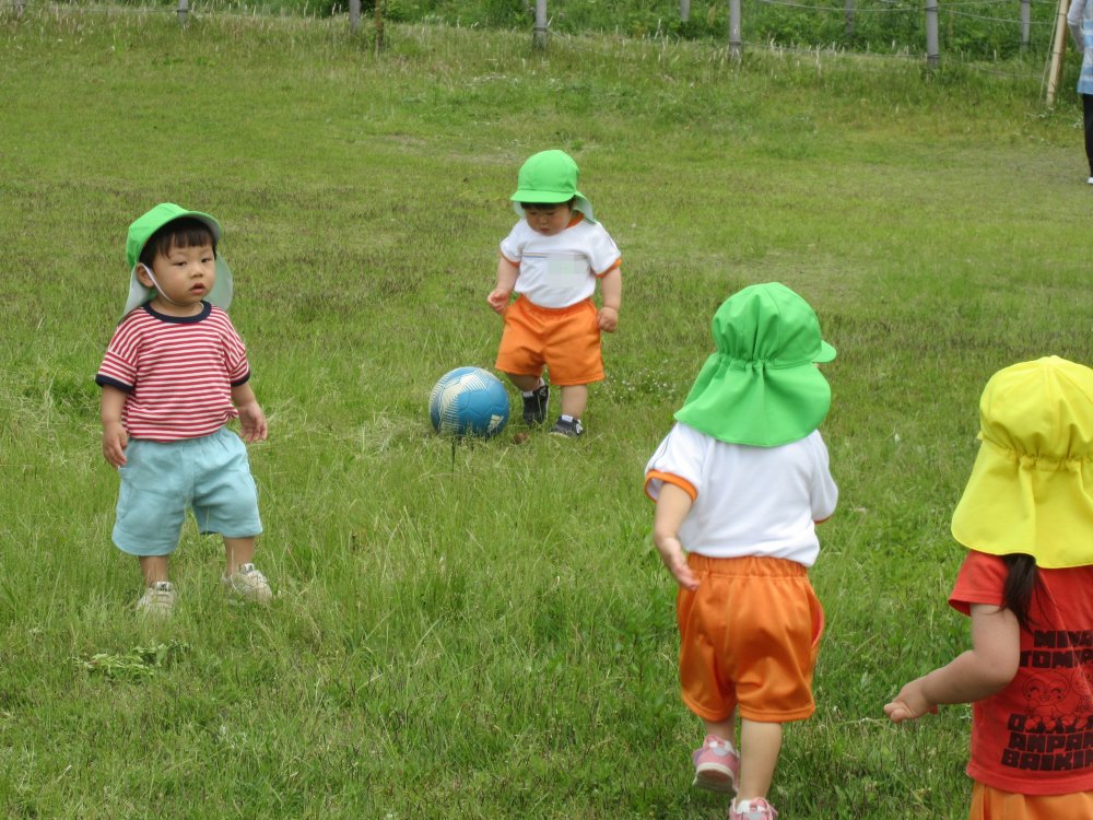 20260507153348.JPG