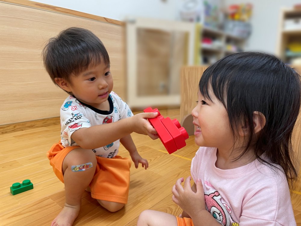 20260722154853.JPG